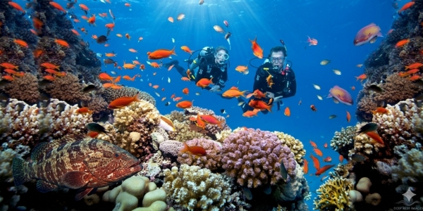 lặn biển phú quốc